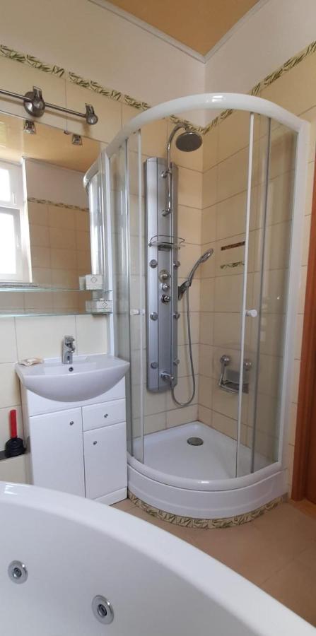 Apartament Apartament Kasztanowy Gliwice Zewnętrze zdjęcie